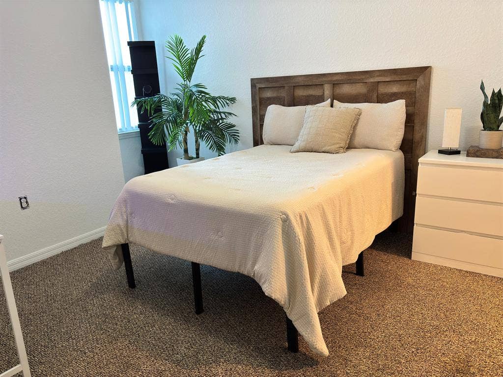 Downtown Living - No Car Needed