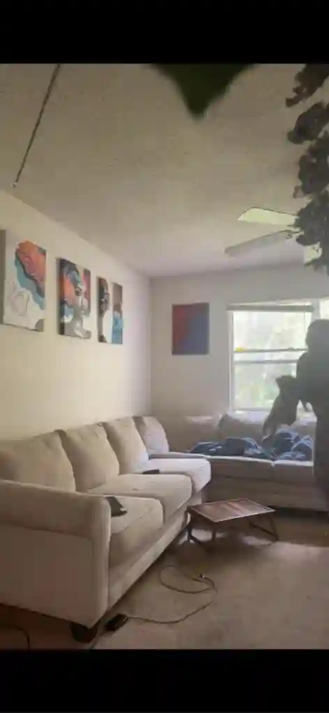 Room in Mandarin- Female
preferred