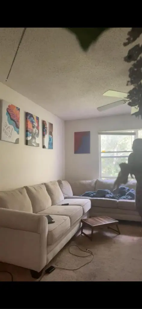 Room in Mandarin- Female
preferred