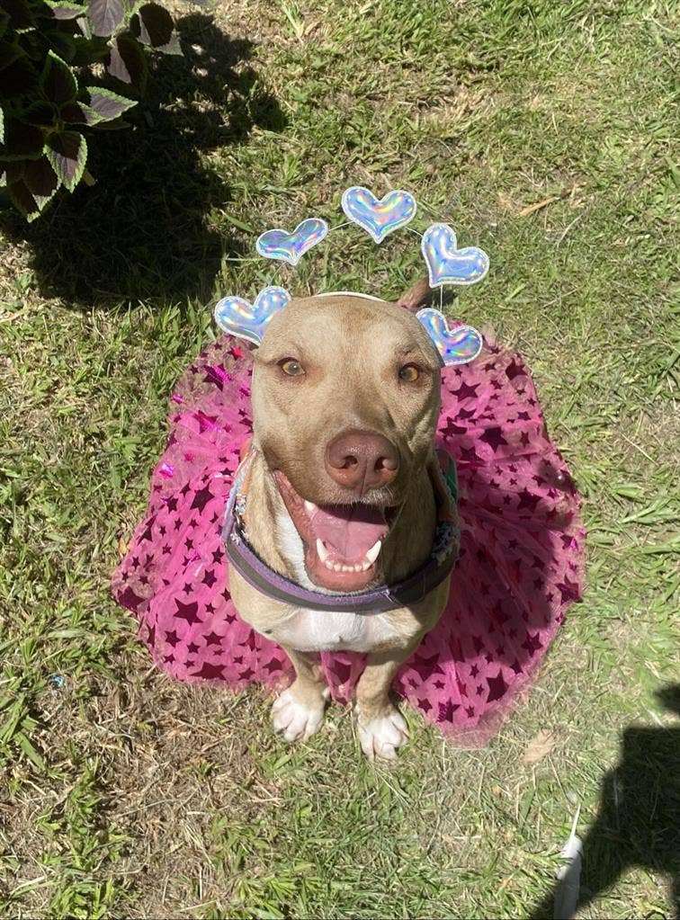 Quarto para alugar em Copacabana