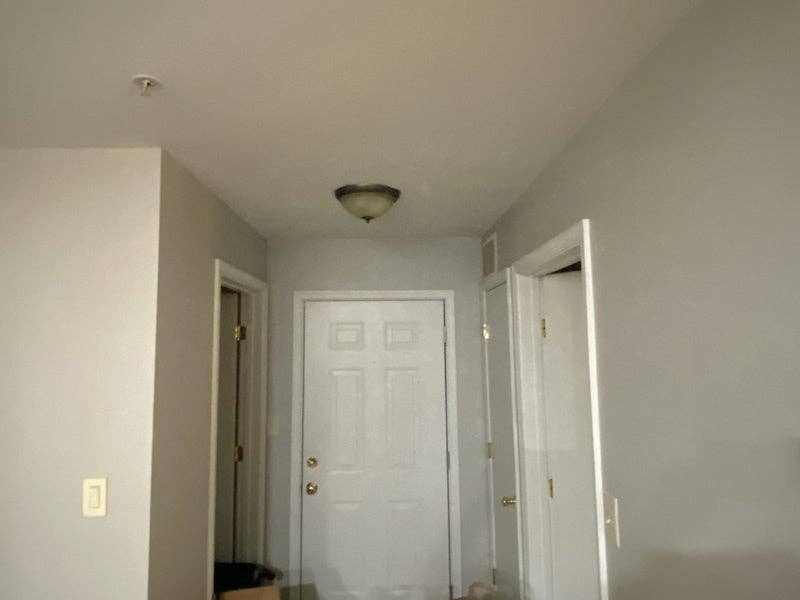 Condo Roommate wanted