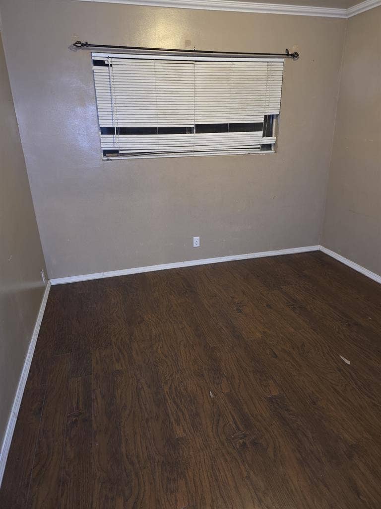 Quiet, Spacious Room for Rent