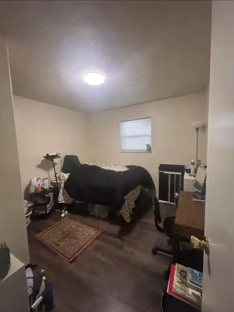 FEMALE ROOMIE IN NEED