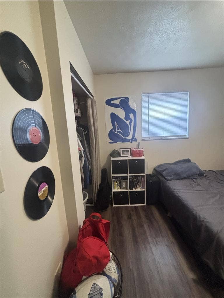 FEMALE ROOMIE IN NEED