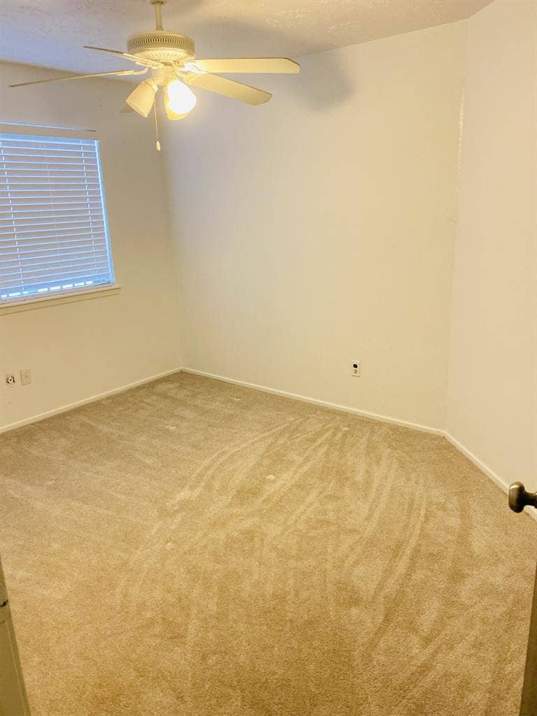 Renting a room in a clean house