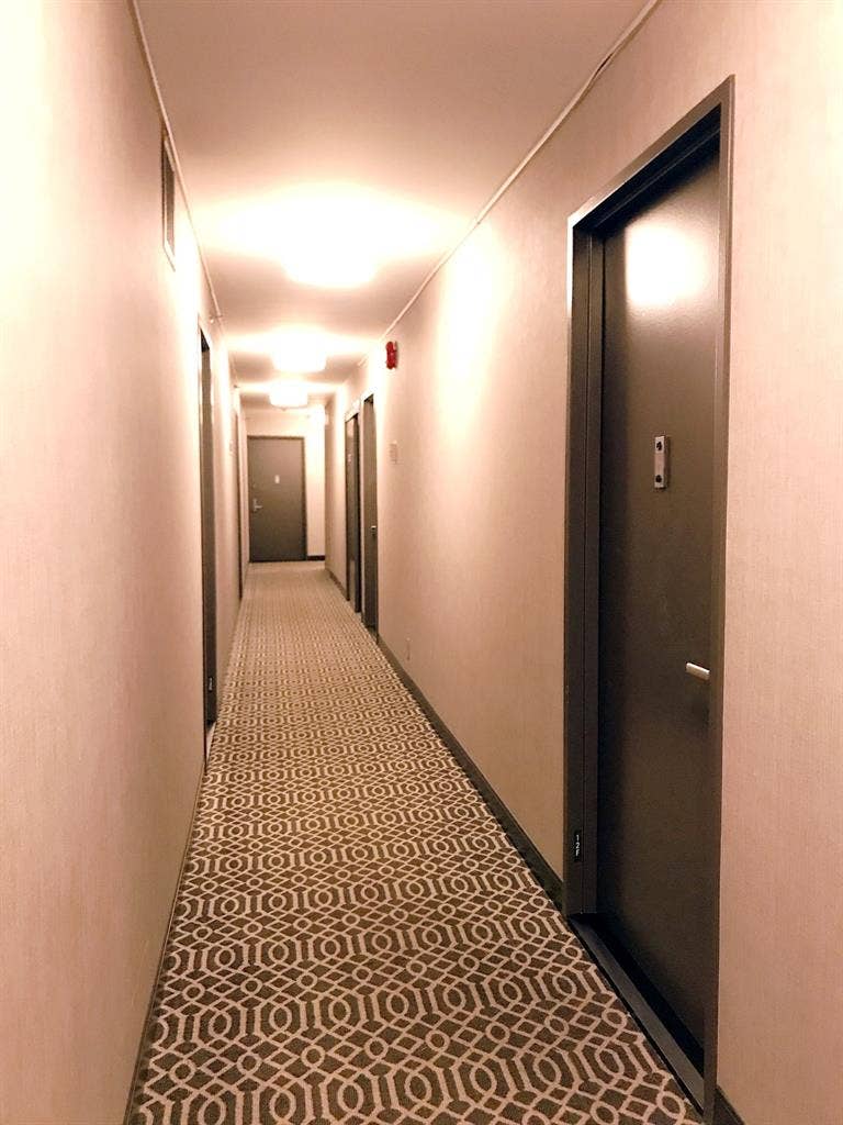 FEMALE ROOMIE WANTED!