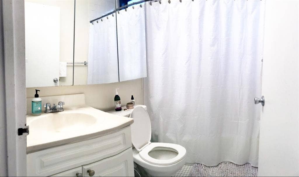 FEMALE ROOMIE WANTED!