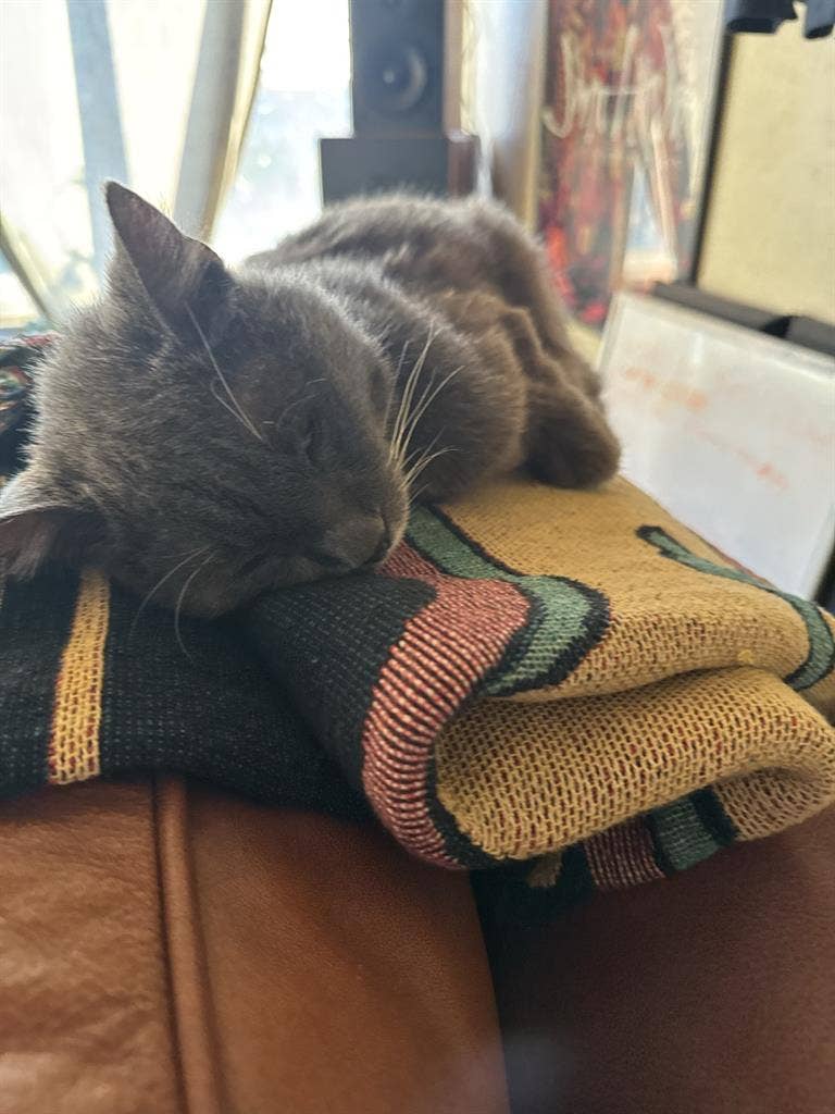 West Oakland Room Available