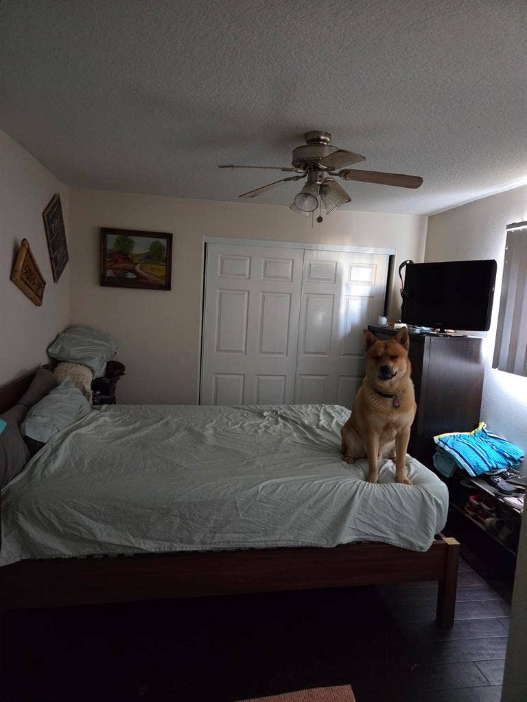 Across the street from the beach