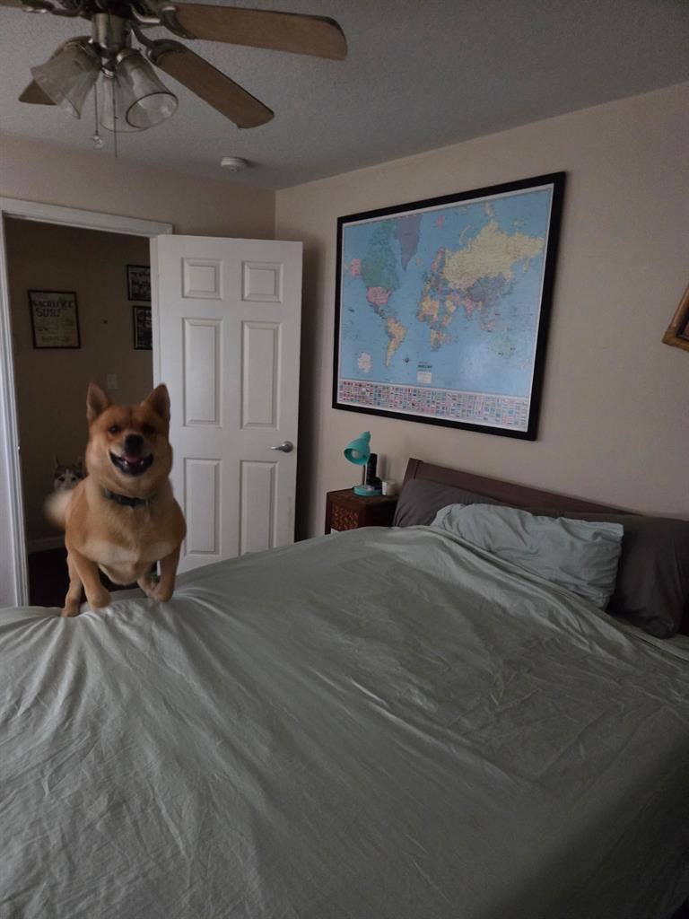 Across the street from the beach