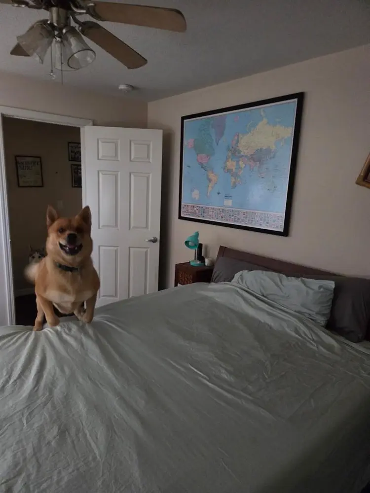 Across the street from the beach