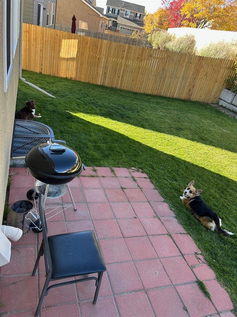 Room & bathroom for rent.