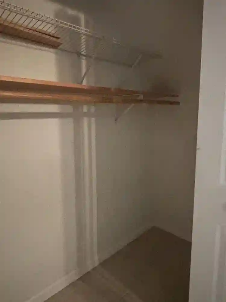 Pet friendly basement apartment