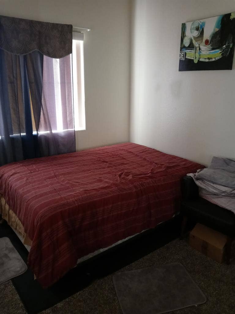 Female roommate preferred no pets