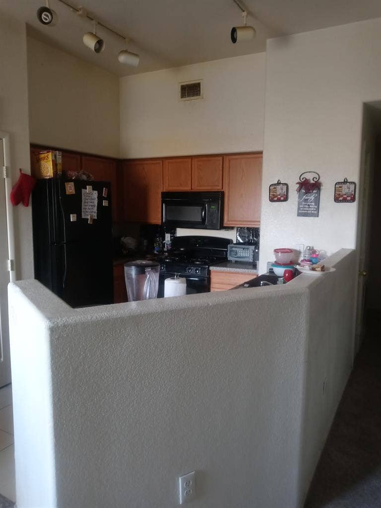 Female roommate preferred no pets