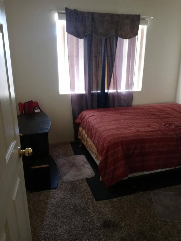 Female roommate preferred no pets