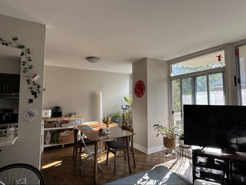 Looking for a female roommatee