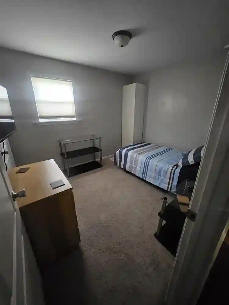 Rating:⭐️⭐️⭐️⭐️⭐️
Available Now