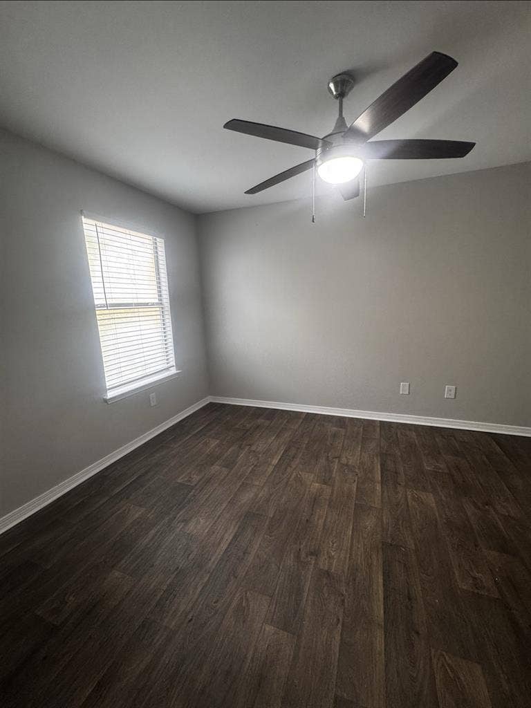 Looking for a roommate