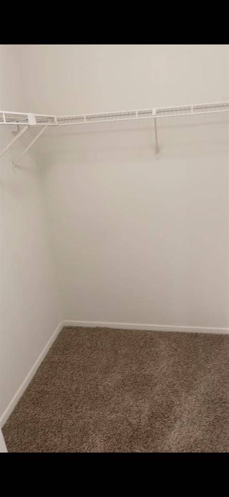Bedroom in   available