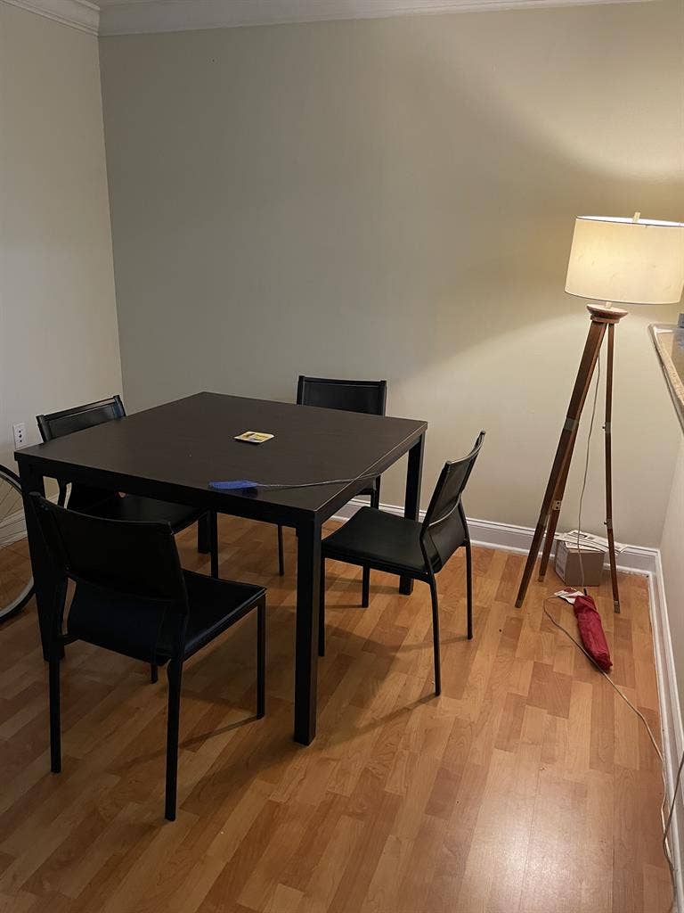 Reletting Apartment for Spring