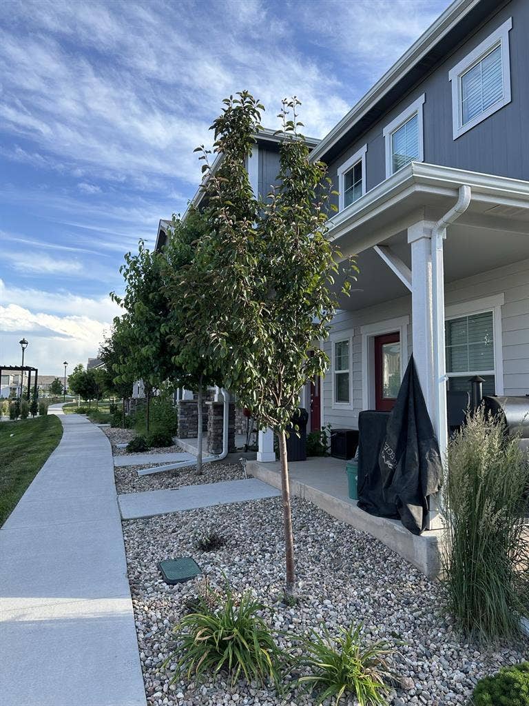 Room for Rent - West Fort Collins