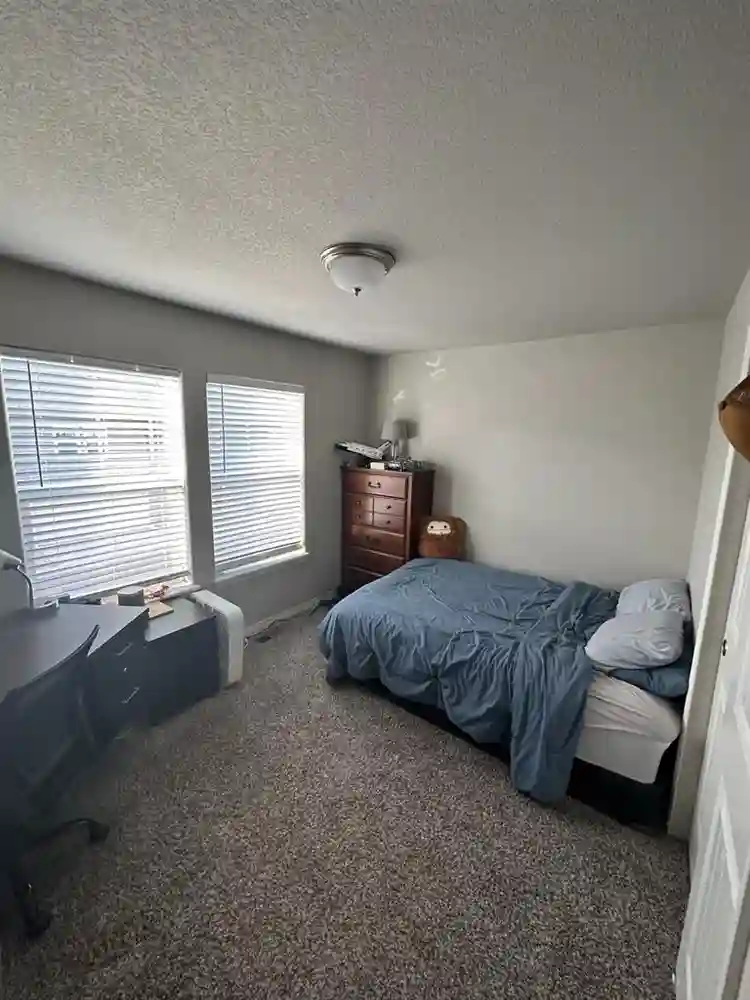 Room for Rent - West Fort Collins