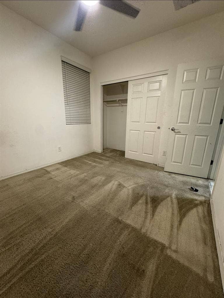 My brother needs a roommate!