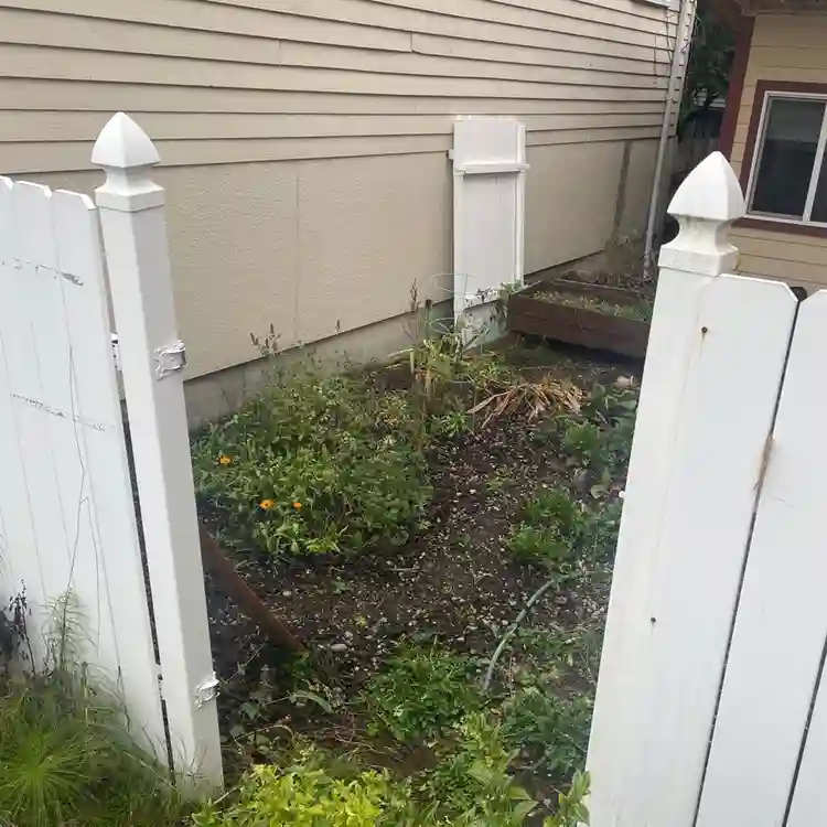 $ right downtown 2 bedroom