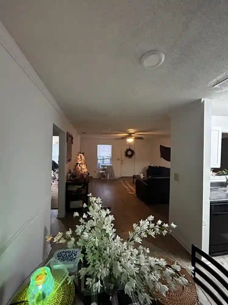 Room for Rent- Pets- NEED ASAP