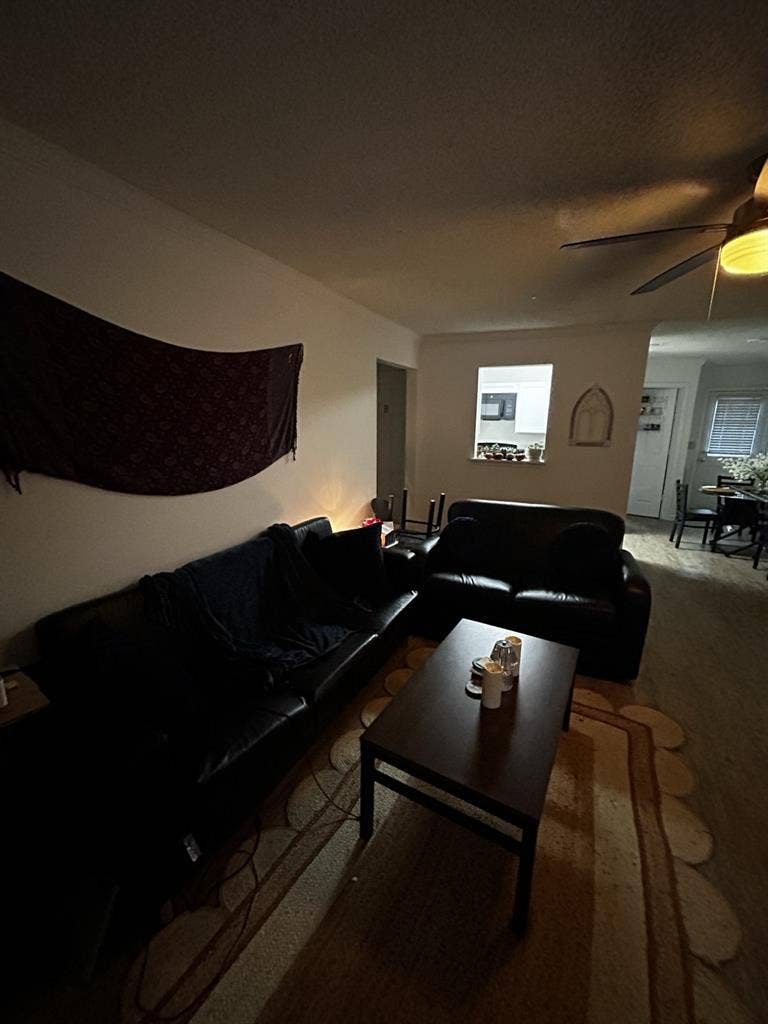 Room for Rent- Pets- NEED ASAP