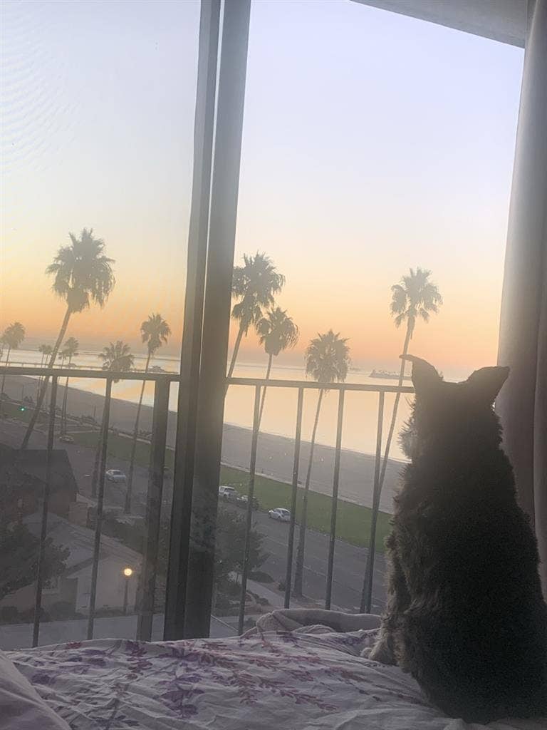 Ocean views - Perfect location