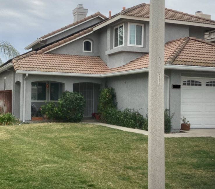 Available March, must like cats