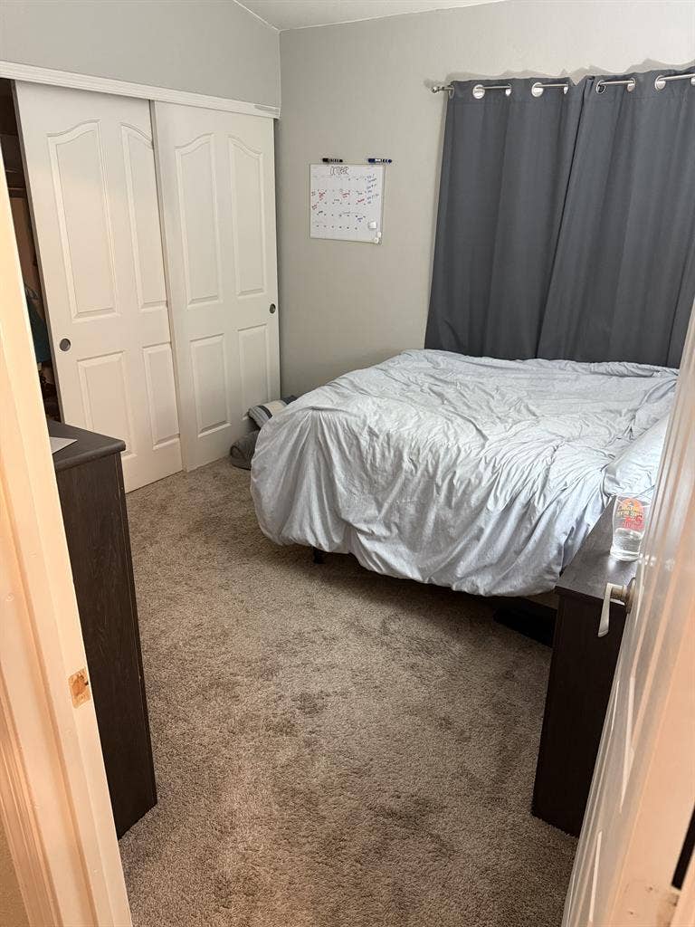 Need a female roommate!