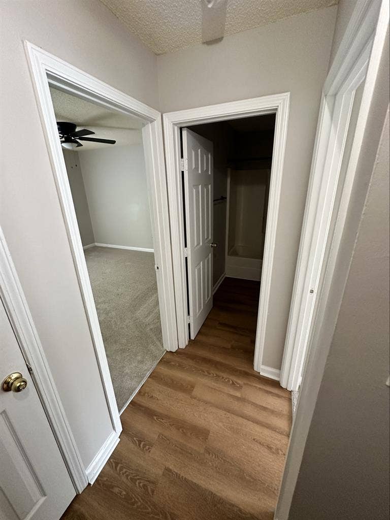 Kannapolis Roommate needed