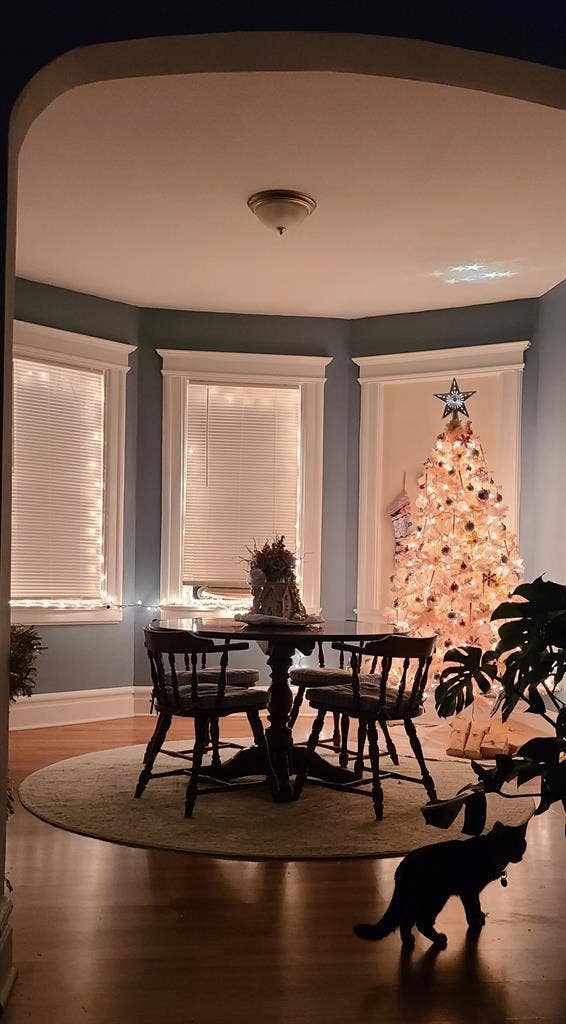 Large furnished room (utl included)