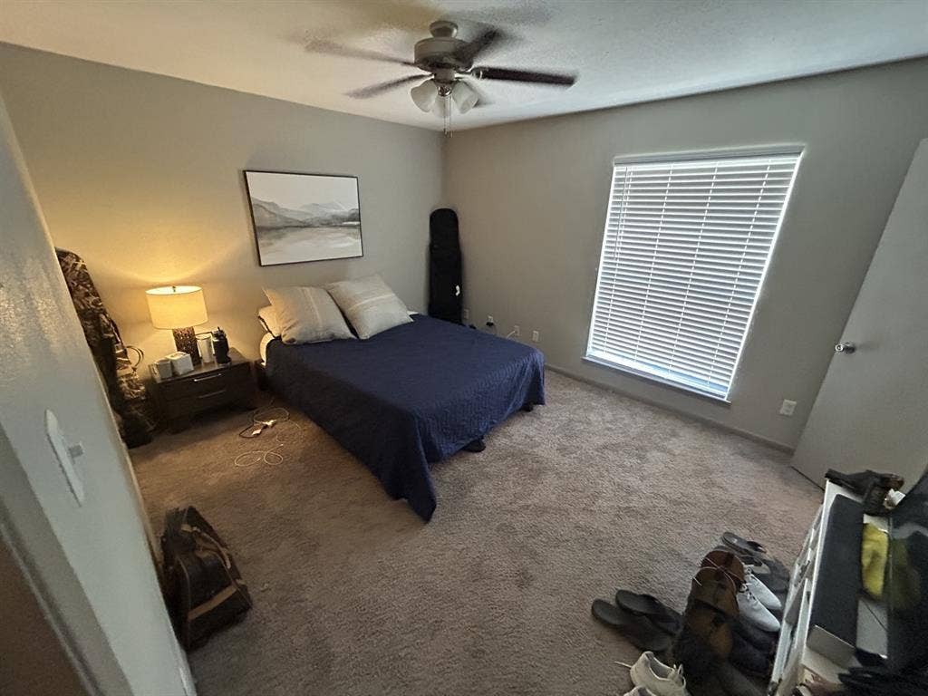 Roomy 1BR Walkable to Campus