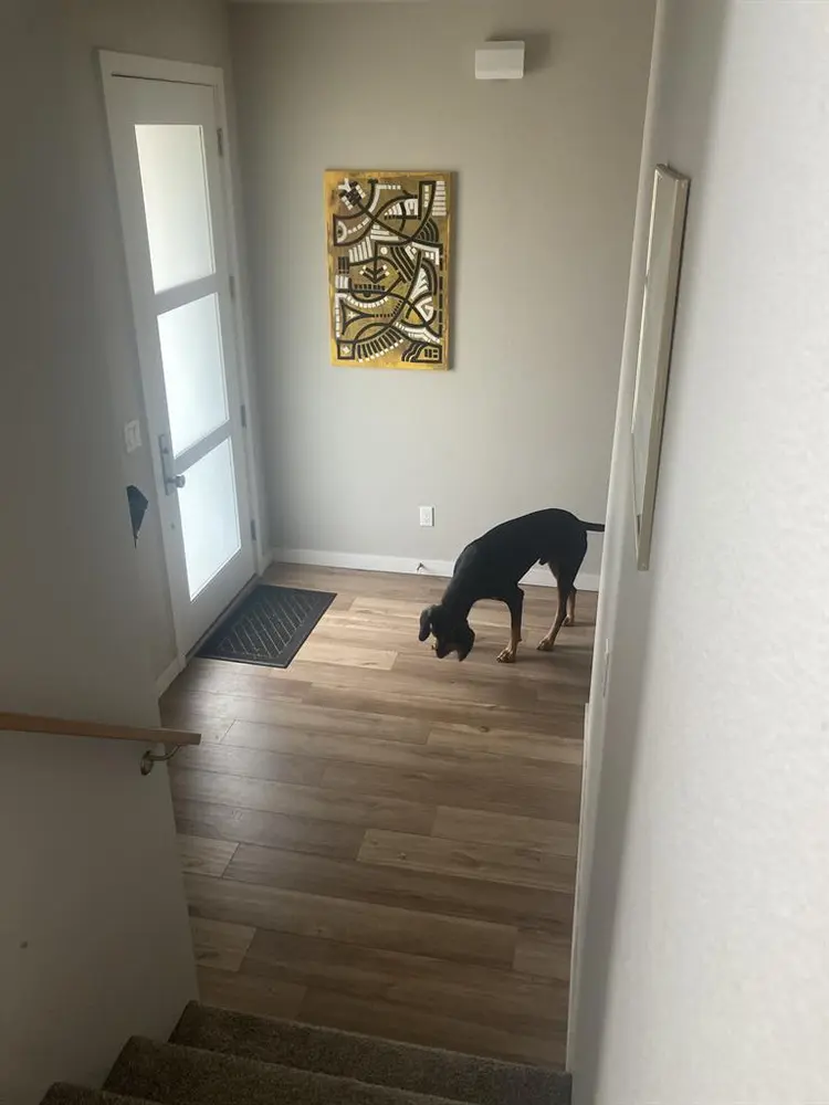 share bright house with yard