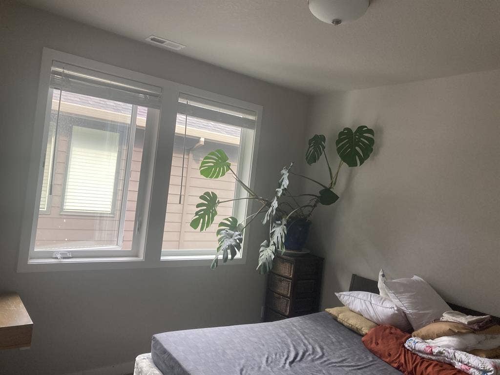 share bright house with yard