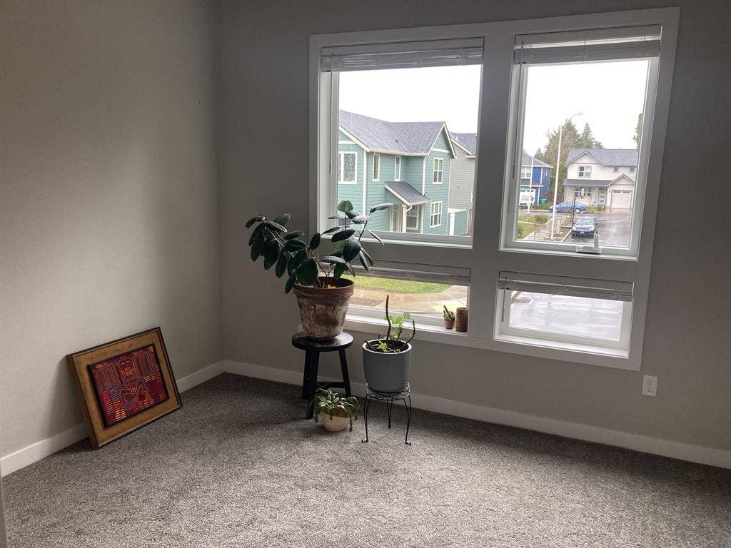 share bright house with yard