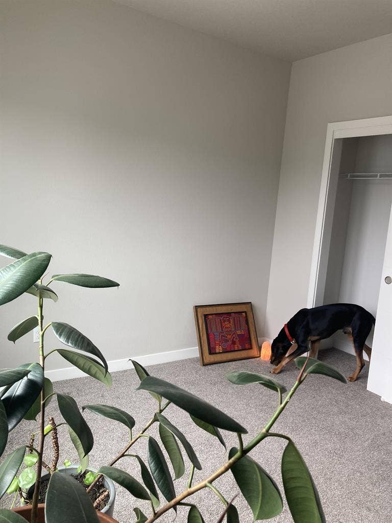 share bright house with yard