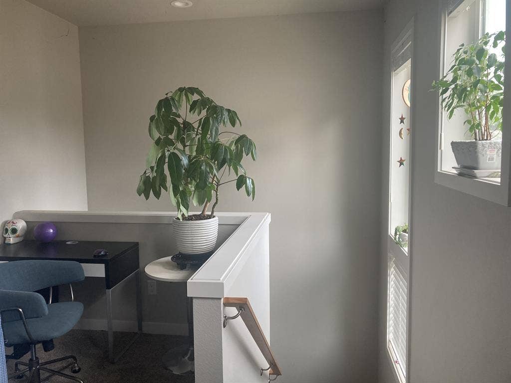 share bright house with yard