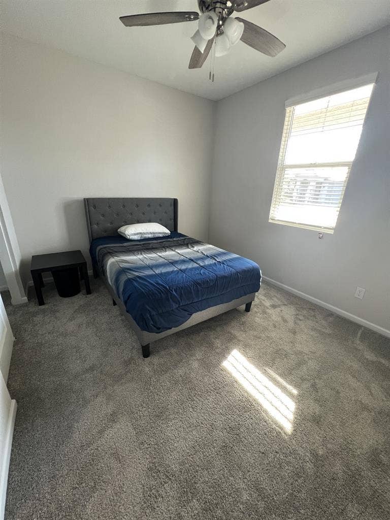Looking for Roommate in Surprise!