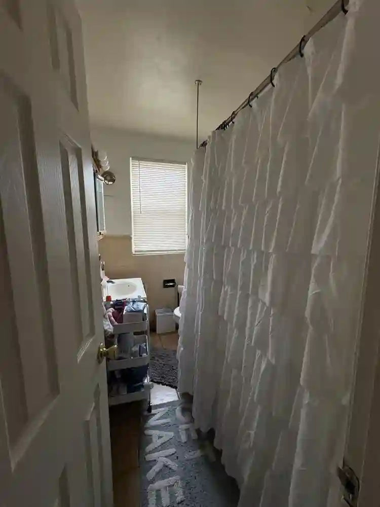 Spring Semester Lease: Locust Lane