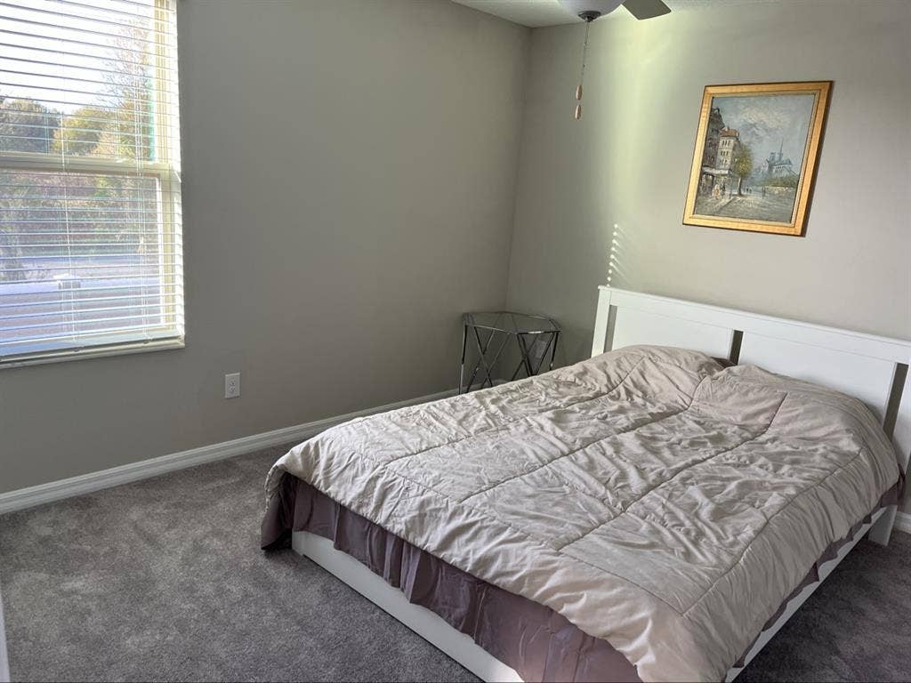 Nice Room in Wesley Chapel