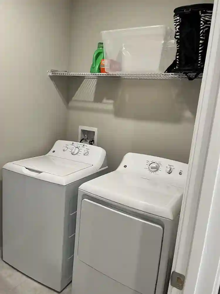 Nice Room in Wesley Chapel