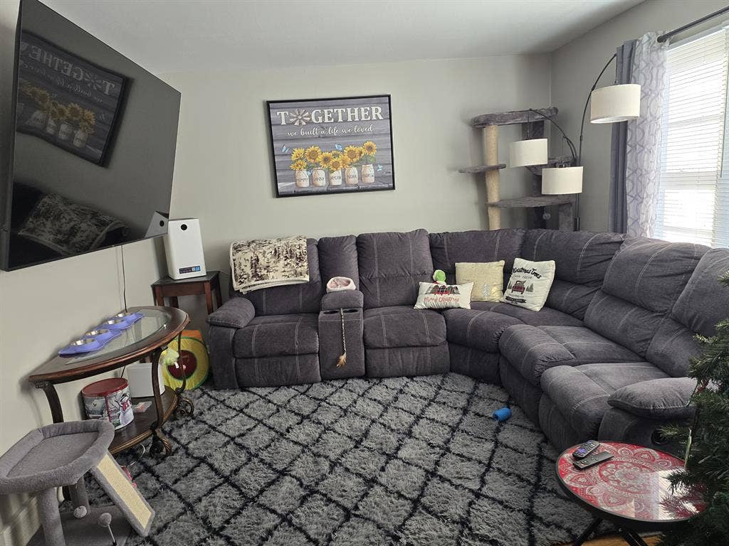 Looking for a roommate in my home.