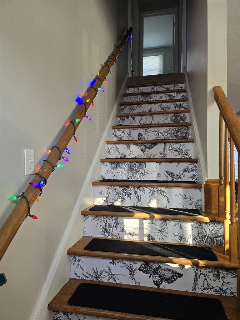 Looking for a roommate in my home.