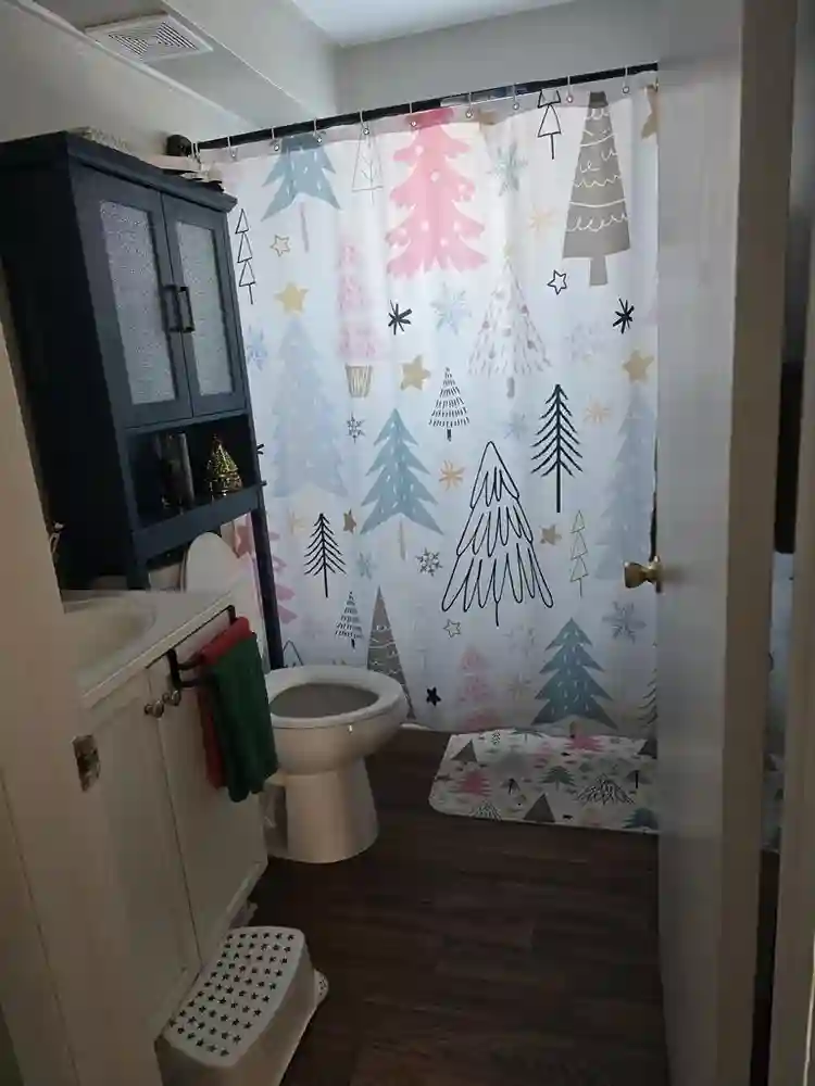 Looking for a roommate in my home.