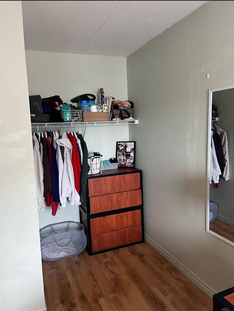 WATERLOO FEMALE SUBLET!
